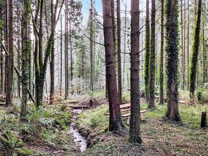 Hidden bench by a second stream