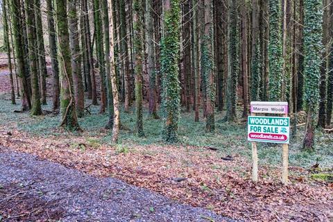 Woodland for sale, Southleigh EX24