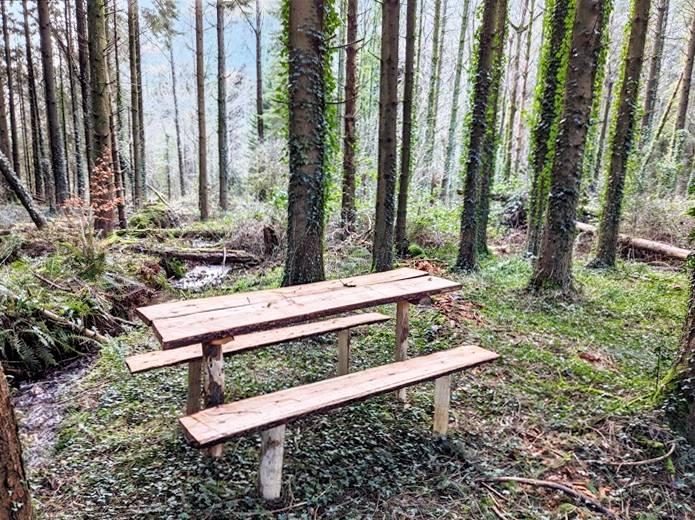 Rustic bench by a private stream