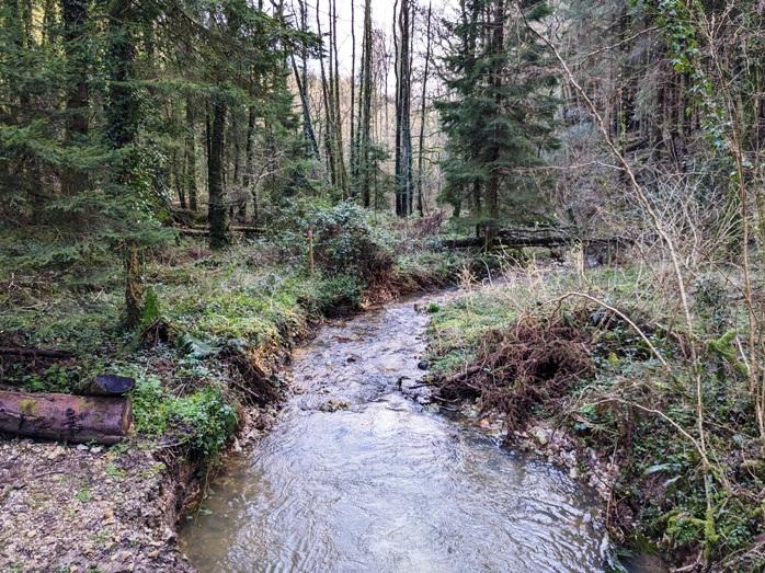 A stream winds along the western boundary