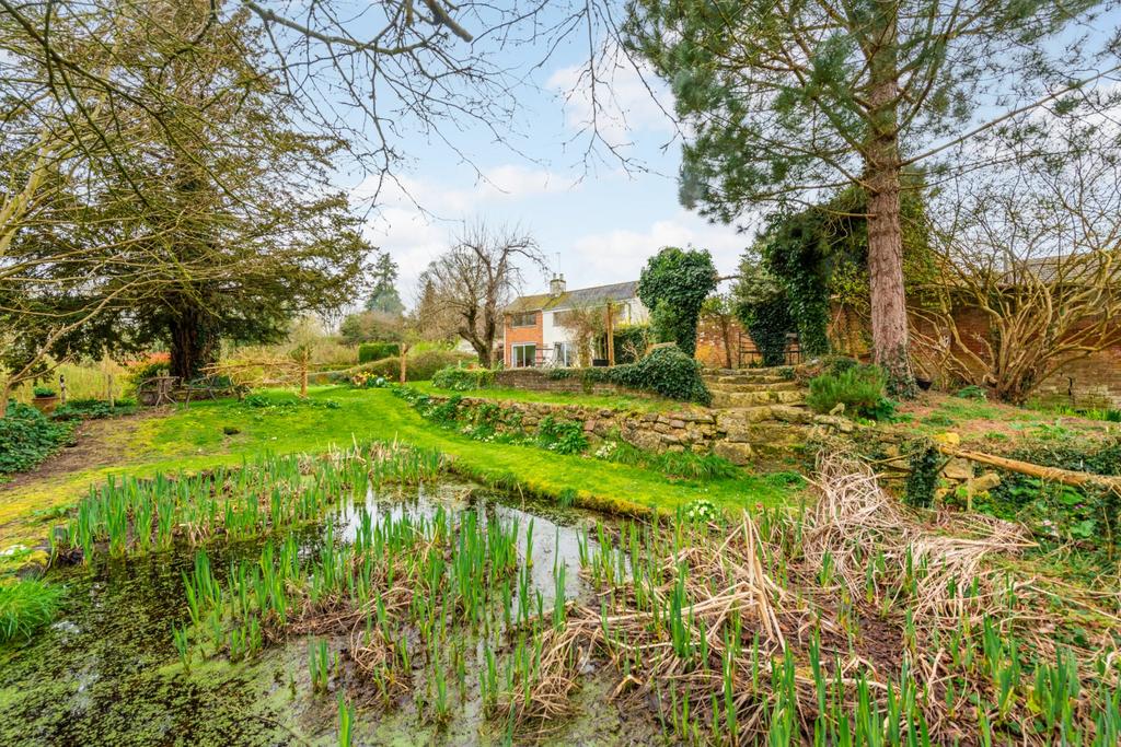 Pond and Garden