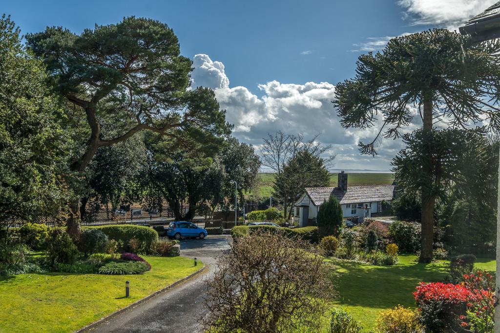 Communal Grounds and View