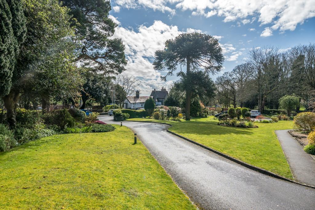 Communal Grounds