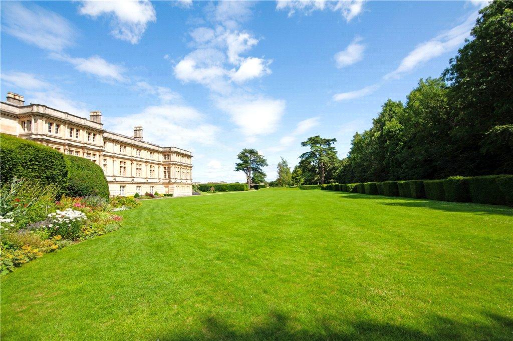 Grounds