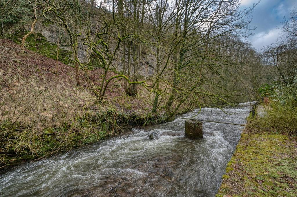DSC 5632 hdr.jpg