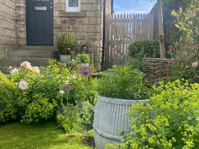Garden Photo 2.jpg