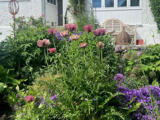 Garden Photo 3.jpg