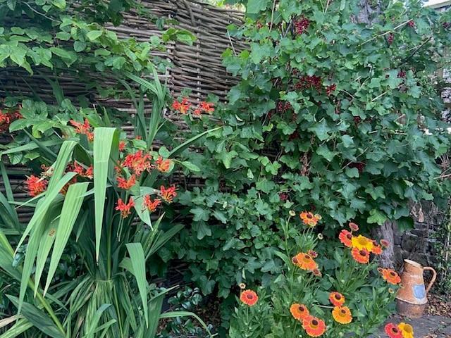 Garden Photo 4.jpg