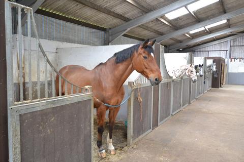 2 bedroom equestrian property for sale, Beaworthy DEVON