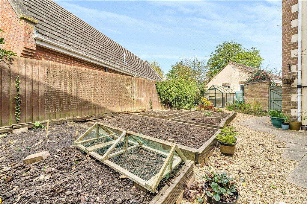 Vegetable Garden