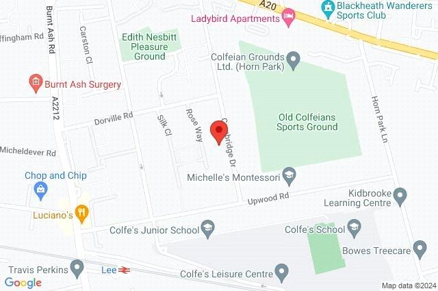 Google Maps Image