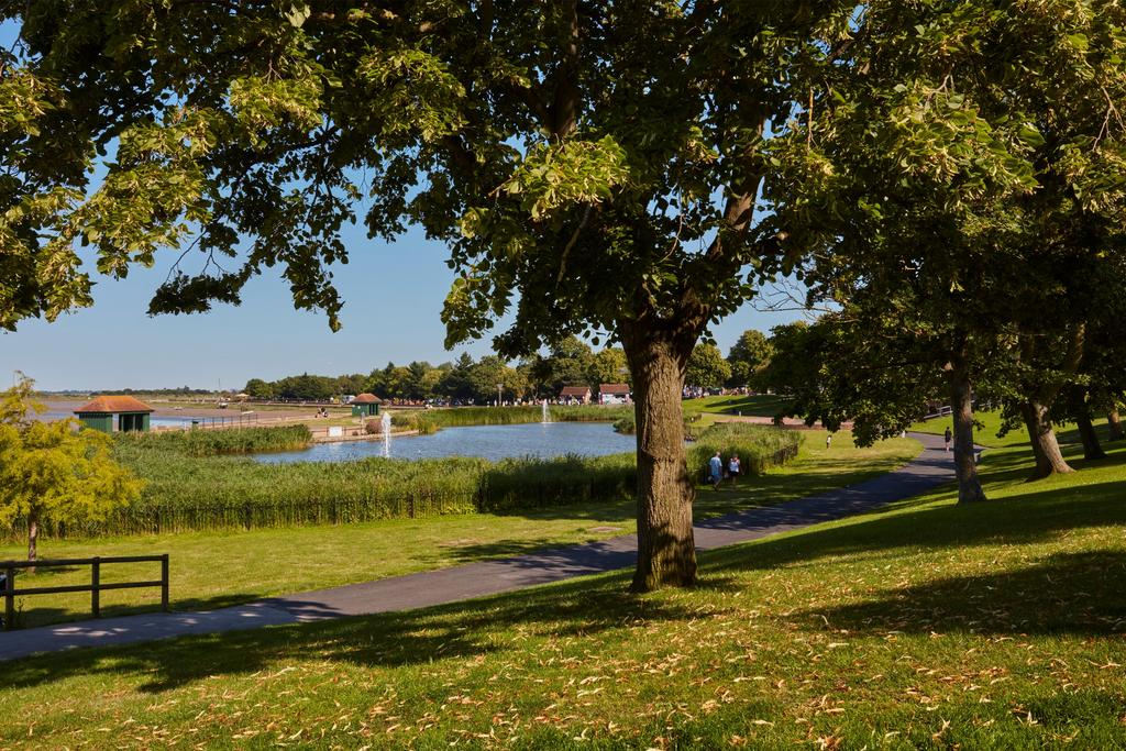 Local area