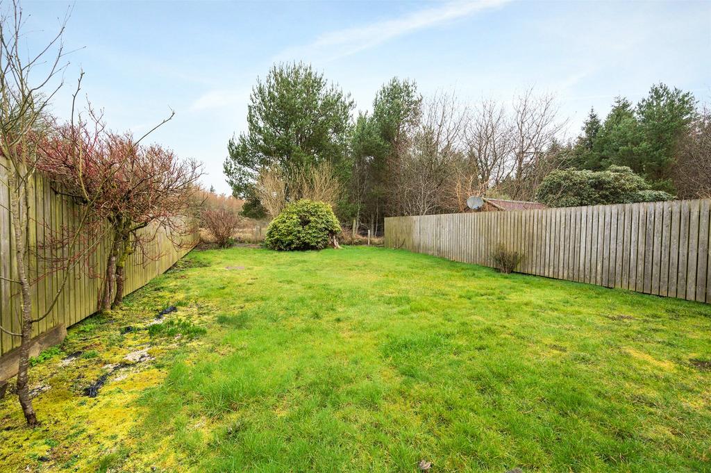 Garden 2