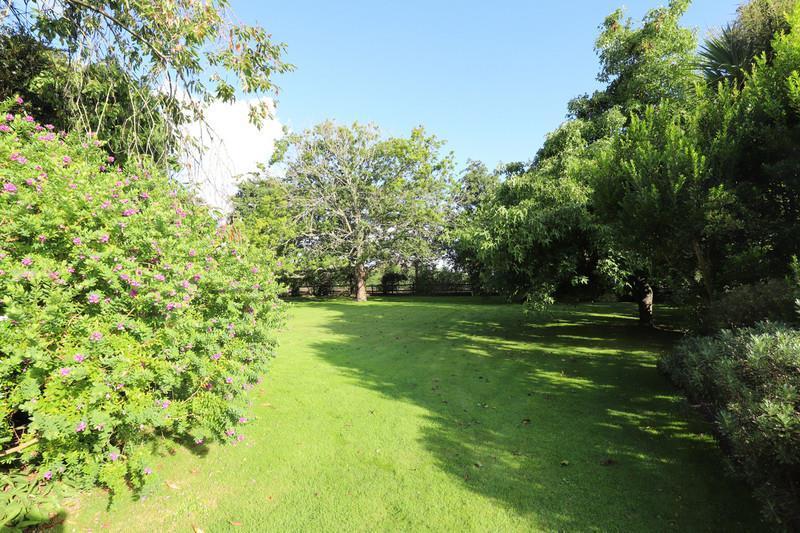 IMG 2192 a034-3a0f-426e-c173-5ec5-083a-702d-0eb6 2