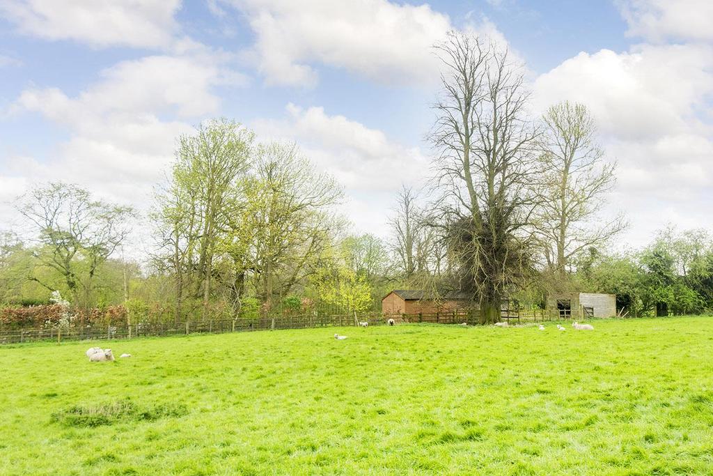 Field Views