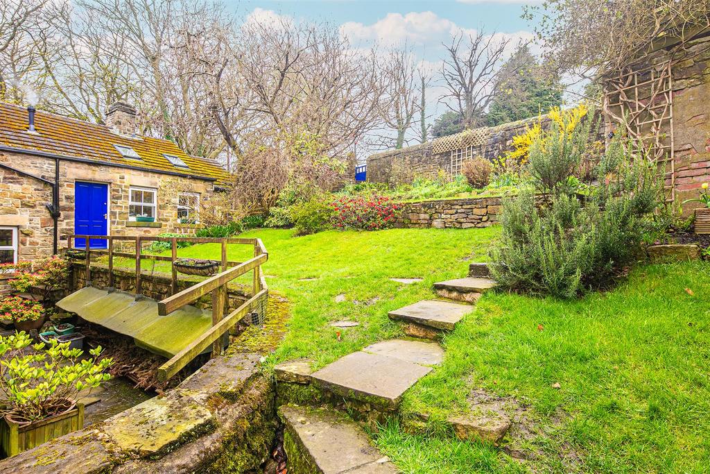 Back garden