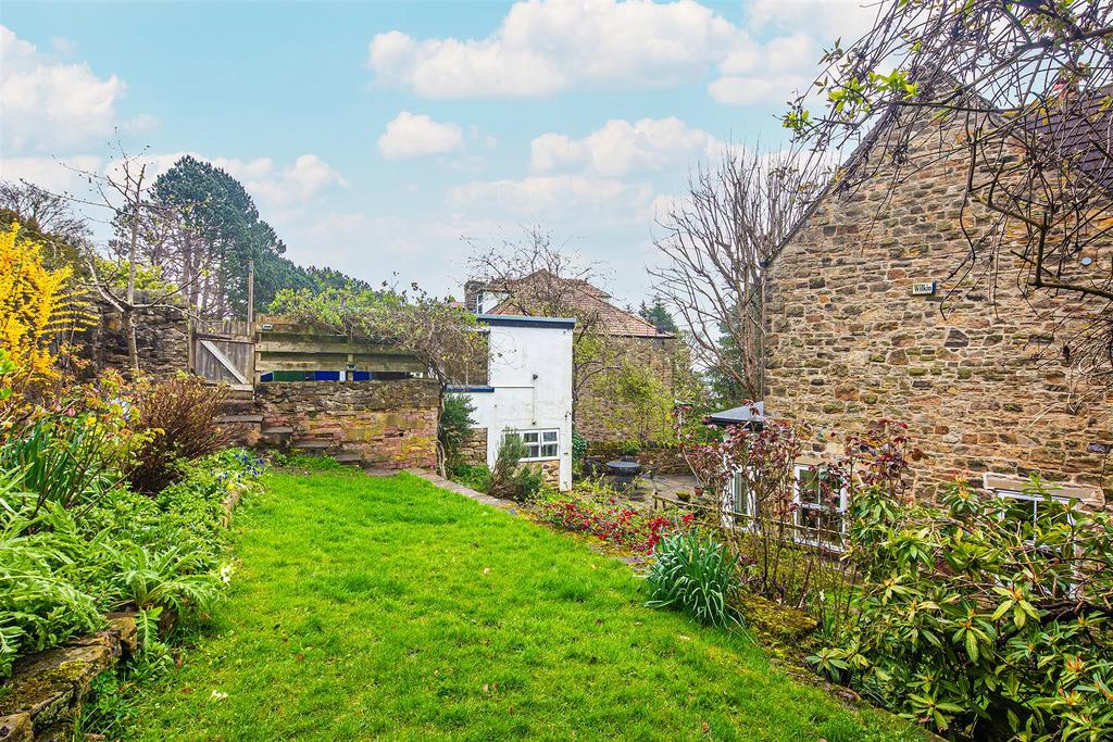 Back garden
