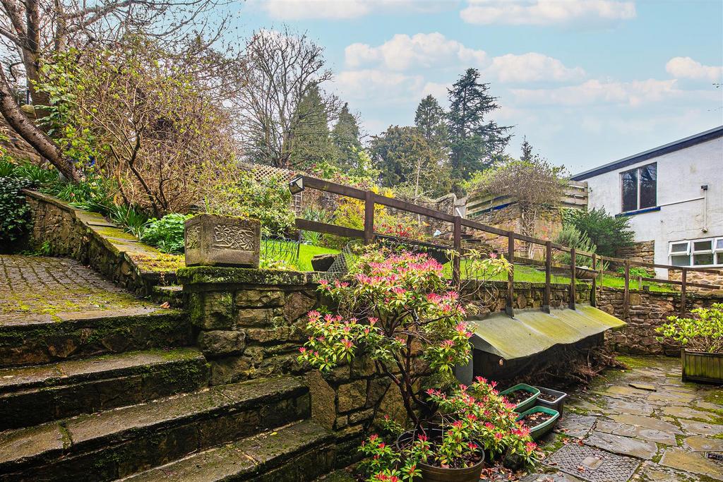 Back  garden