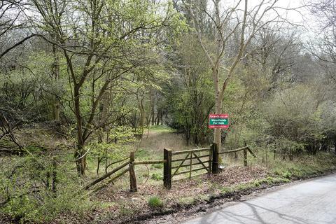 Woodland for sale, Longdown Hill, Whiteleaf, Princes Risborough HP27