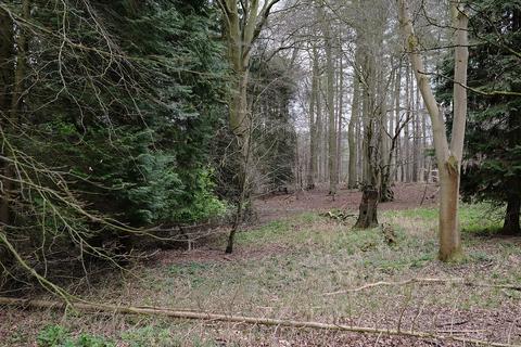 Woodland for sale, Longdown Hill, Whiteleaf, Princes Risborough HP27
