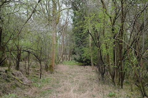 Woodland for sale, Longdown Hill, Whiteleaf, Princes Risborough HP27