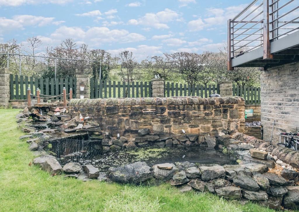 Garden &amp; Pond