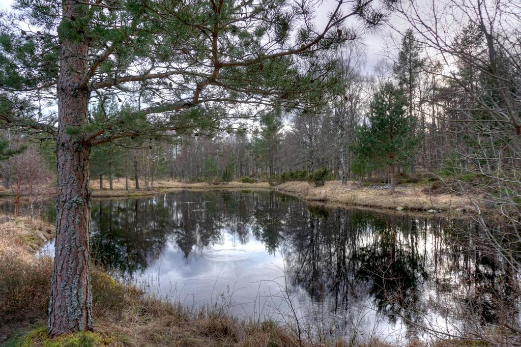 Lochan