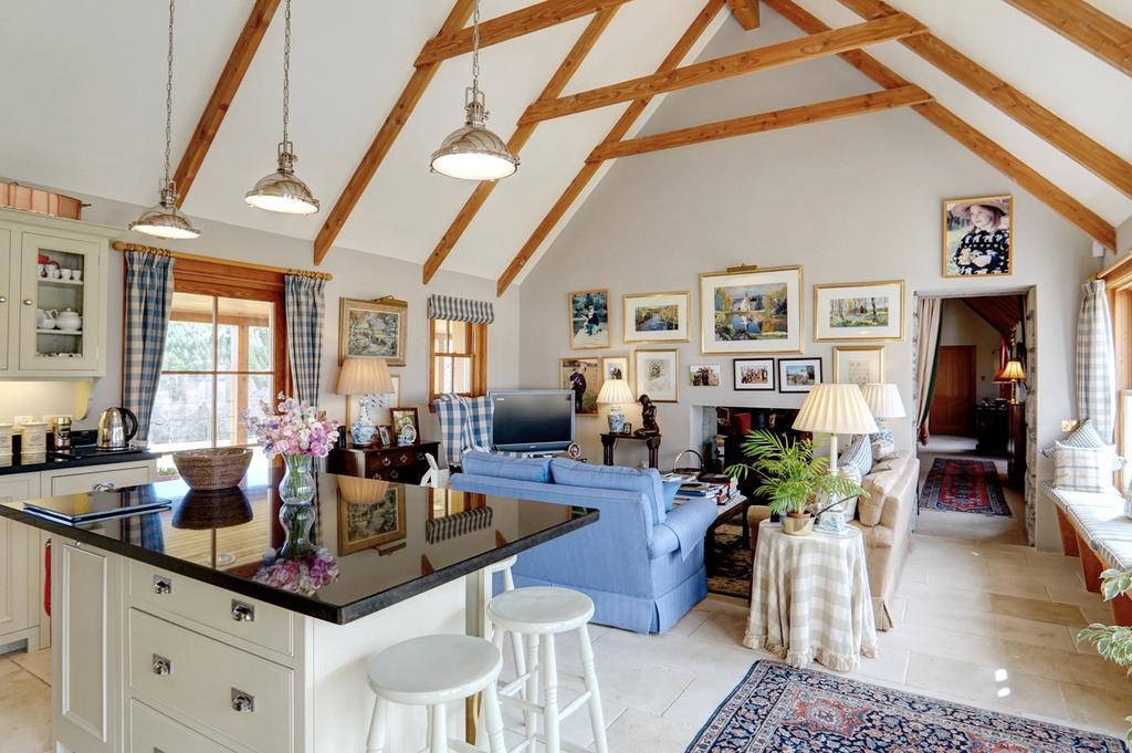Kitchen/Family Room