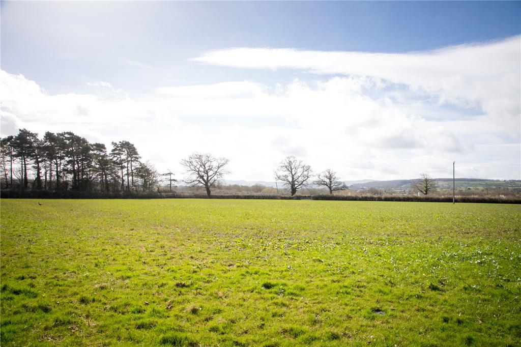 Land