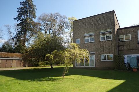 3 bedroom semi-detached house to rent, Corby Hill, Carlisle