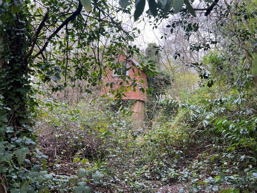 Detached house on plot with mature overgrowth