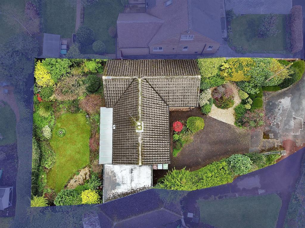 Drone 3.jpeg