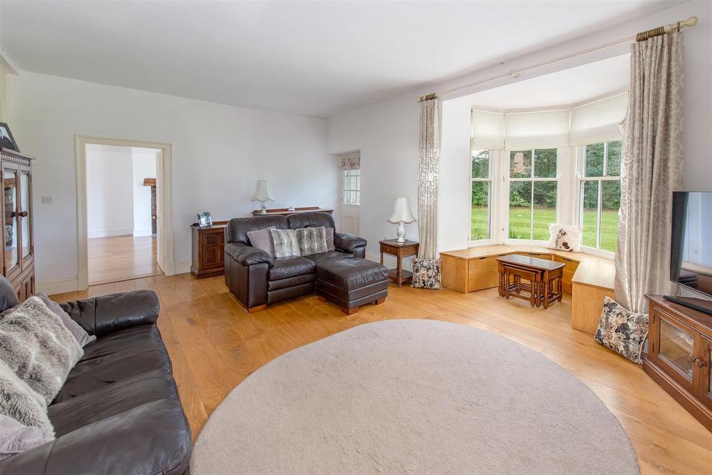 Image19.jpg