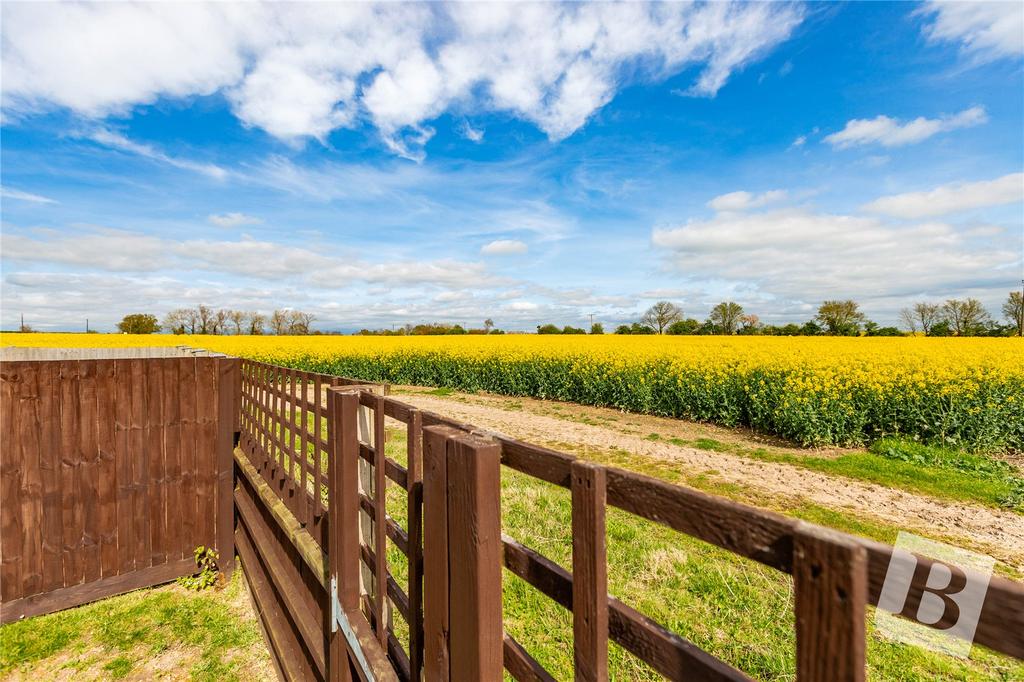 Farmland Views
