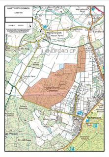 Land for sale, Hamptworth, Salisbury, Wiltshire, SP5.