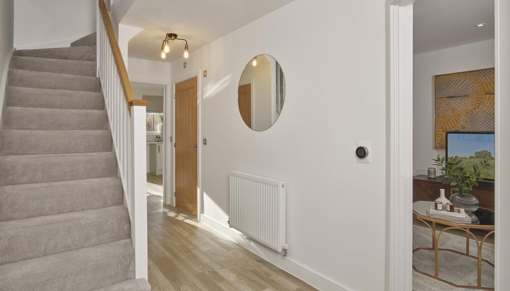 Showhome Photography