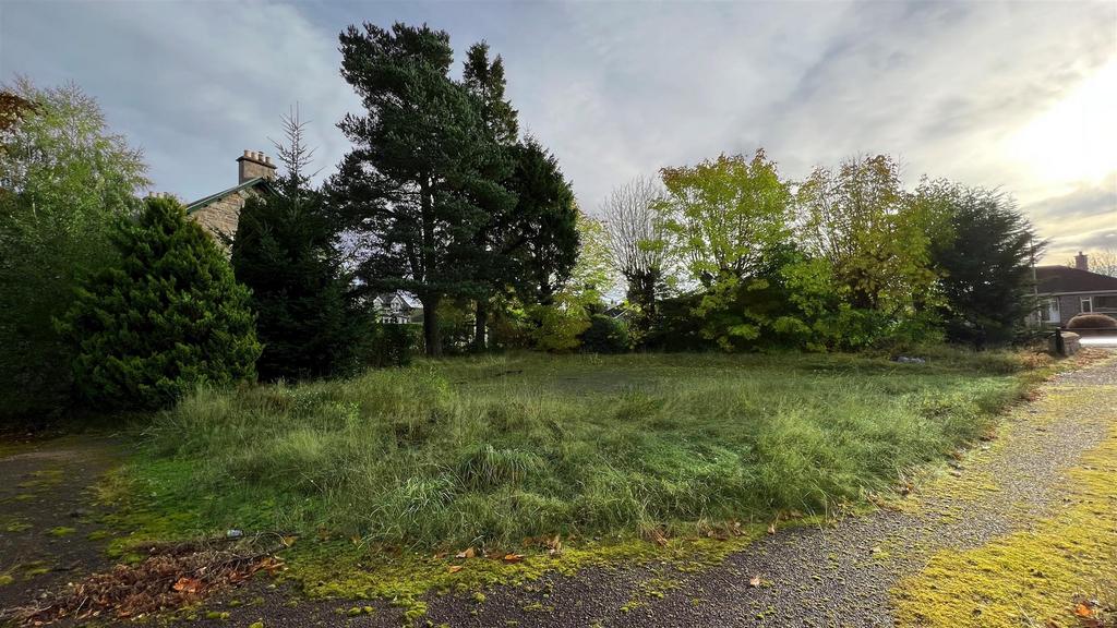 Site
