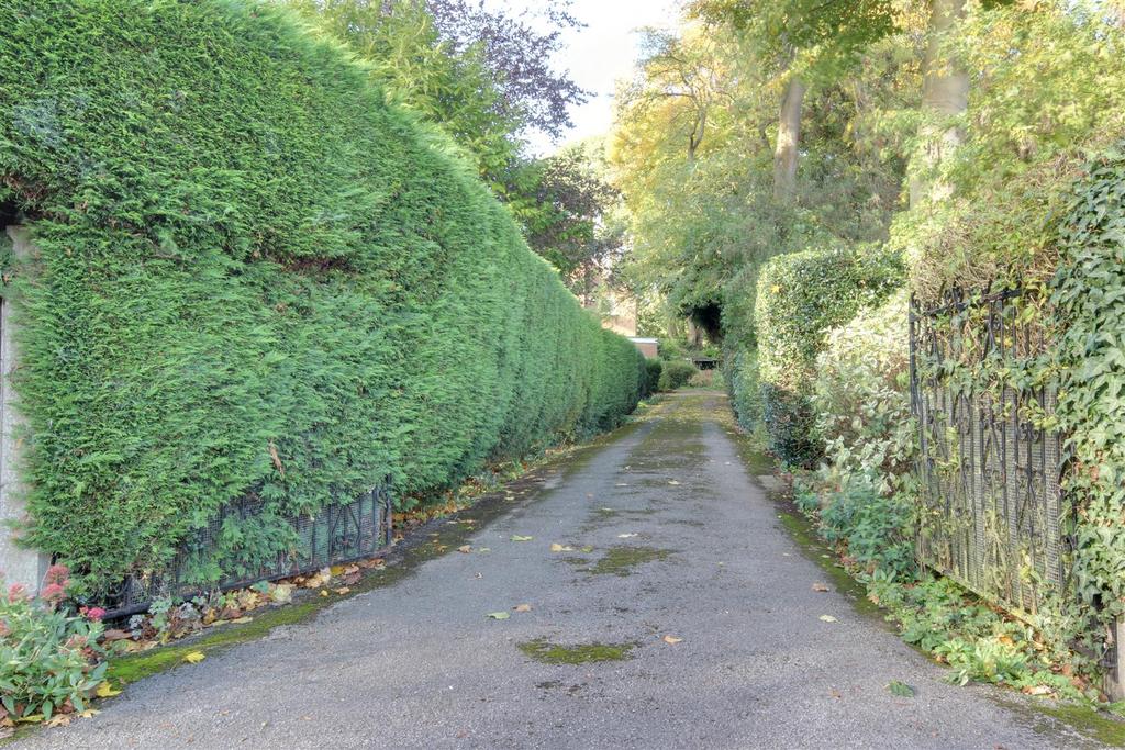 Driveway