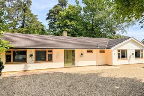 4 bedroom detached bungalow for sale, St Ives Wood, Ringwood, BH24