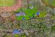 Ariel view
