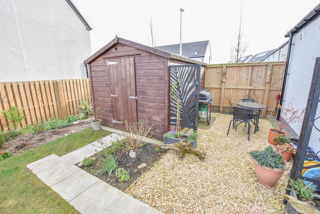 SHED-2.jpg
