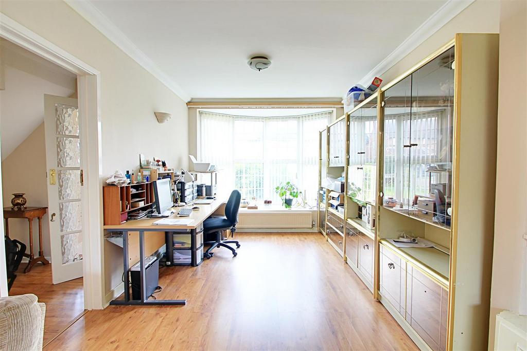 Study Area.jpg