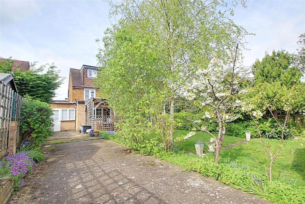 Garden 3.jpg