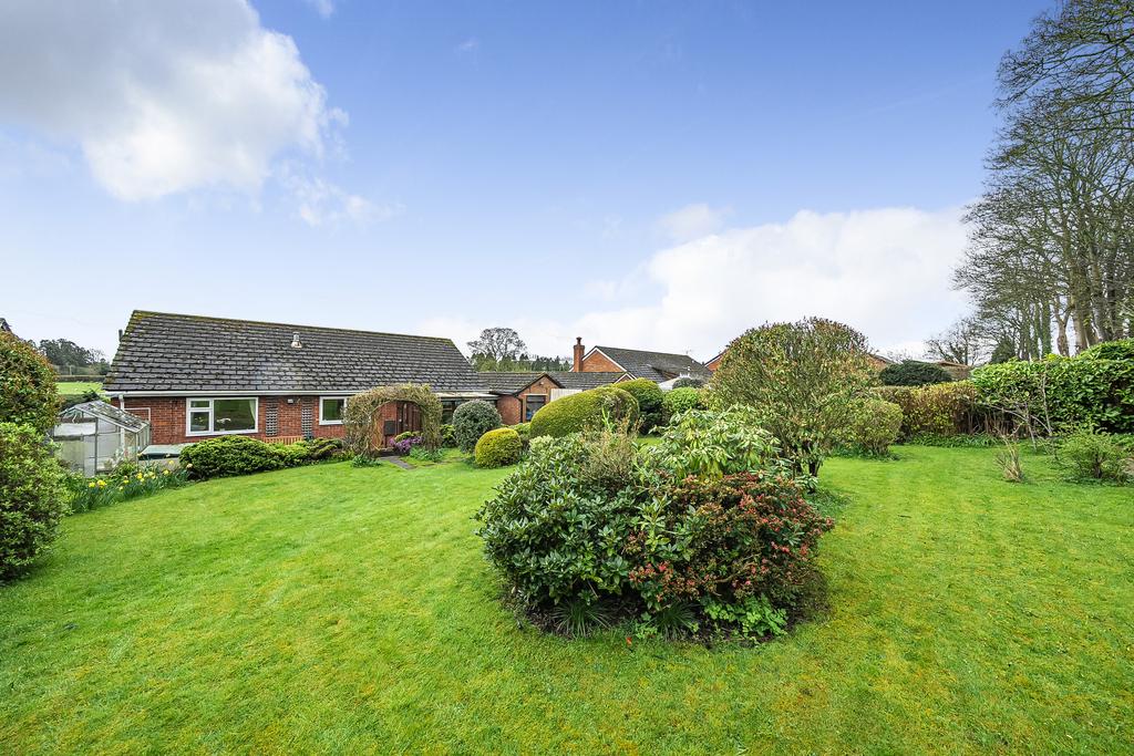 Garden rear