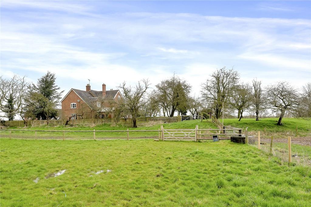 External
