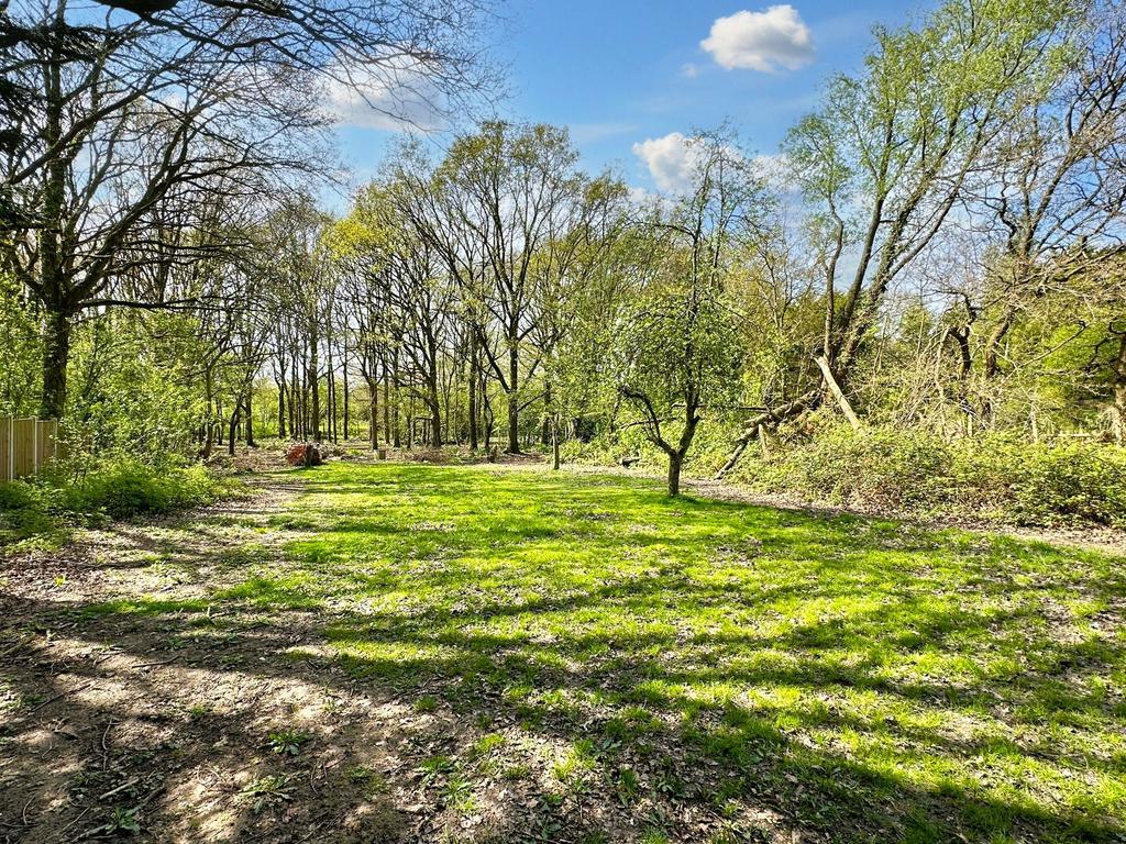 Lower copse