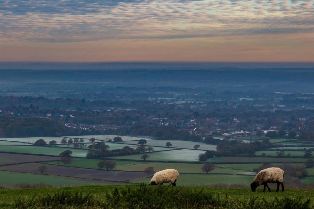 Ditchling Beacon