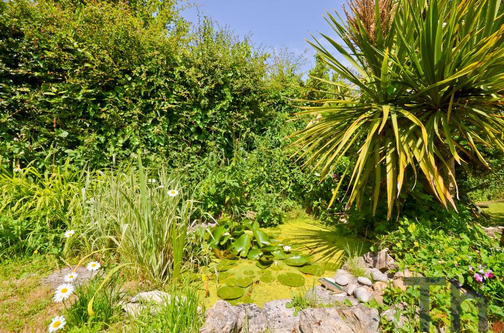 Well stocked garden
