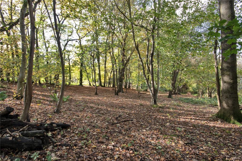 Woodland