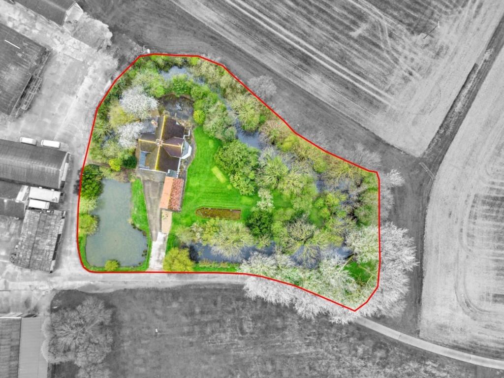 Bh33